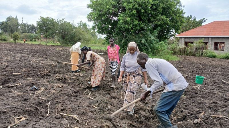 Feldarbeit in Uganda 02